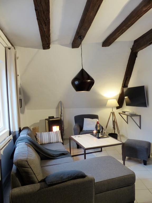 La Venise Bleue Apartment Colmar Bagian luar foto